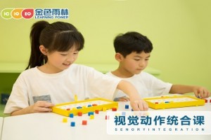哈尔滨关注孩子的视动统合能力，从0岁开始