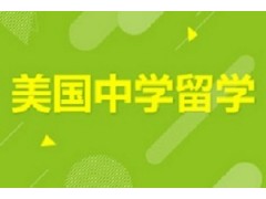 美国中学学术项目Link计划