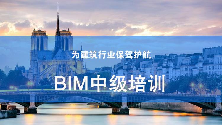 BIM中级