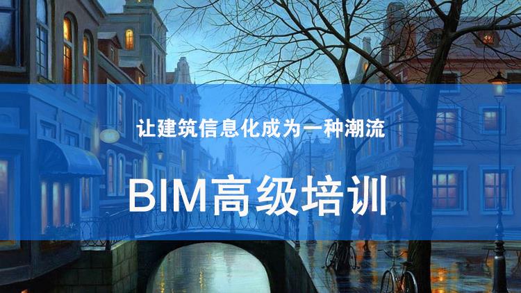 BIM高级