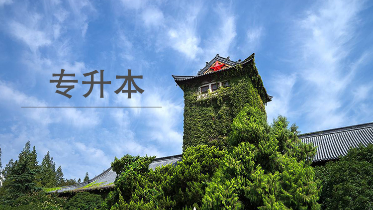 专升本南大远程