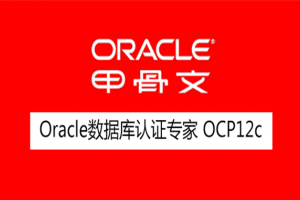 苏州Oracle12C OCP