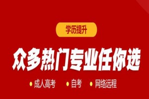 乐清自考专科招生专业