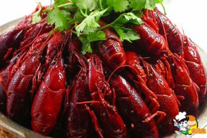 昆山香辣小龙虾培训