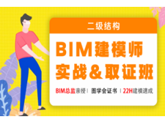 北京BIM建模师实战取证班（二级结构