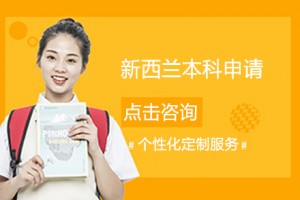 南京新加坡留学本科申请条件，申请新加坡留学具体的流程