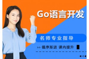 沈阳Go语言开发