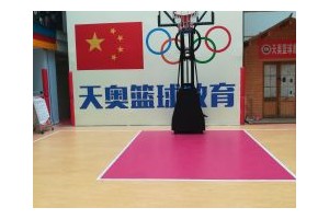 天奥体育环境