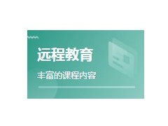 什么是网络远程教育