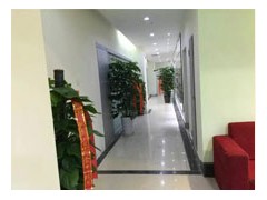 石家庄豆腐脑培训班