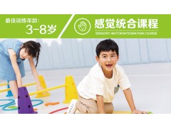 绵阳儿童感觉运动统合训练