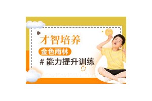 南充金色雨林专注力训练收费价格表!