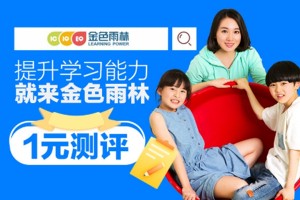 大庆金色雨林专注力训练效果好吗？