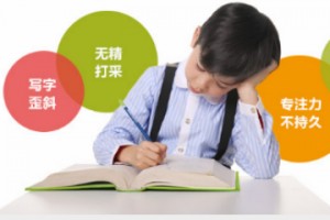无锡金色雨林专注力训练效果好吗？