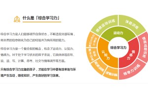 金华金色雨林专注力训练效果好吗？