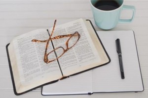 新航道雅思口语训练营7天打卡破冰行动