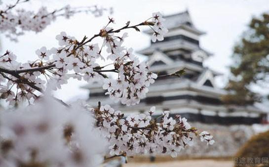 苏州樱花国际日语