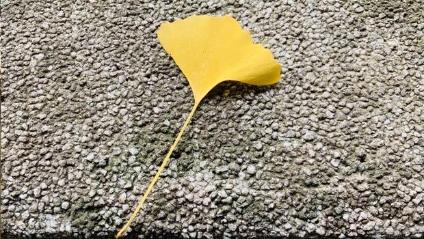 天津新东方考研怎么样