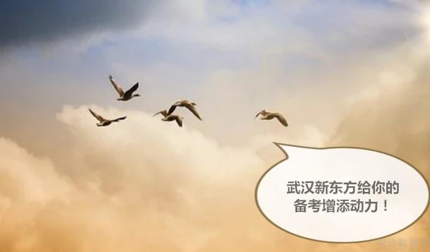 天津新东方学校