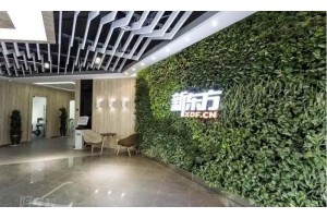 无锡托福冲刺提分班