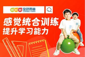 杭州金色雨林课程分类