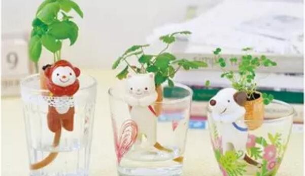 义乌欧风小语种培训