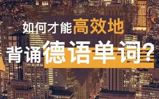 义乌欧风小语种