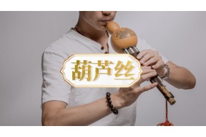 南京葫芦丝培训