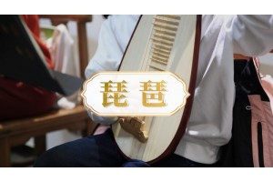 南京琵琶培训