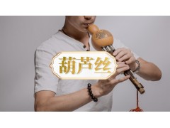 北京葫芦丝培训