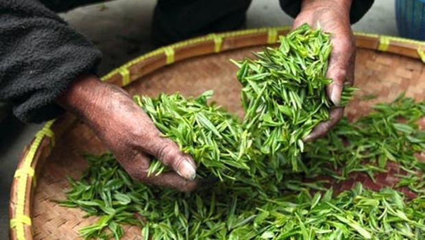 南京秦汉胡同茶艺