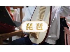 上海琵琶培训