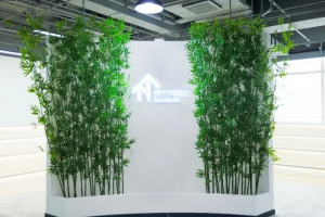 硬核背景提升 青竹学院帮你实现名校梦