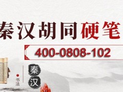 南京秦汉胡同围棋87名学员成功升段、升级！