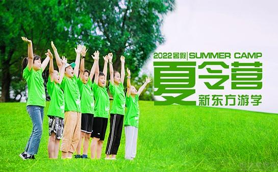 苏州新东方学校夏令营