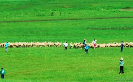 苏州新东方学校