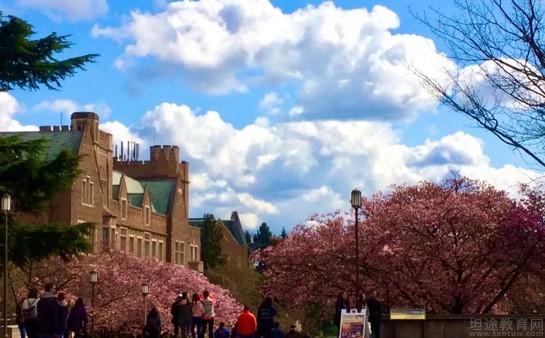 苏州新东方学校