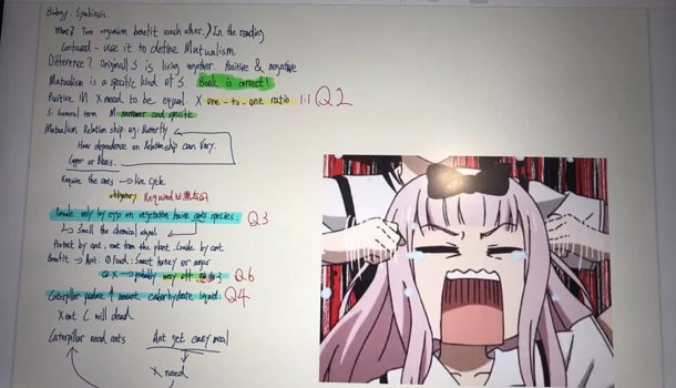 南京新东方学校