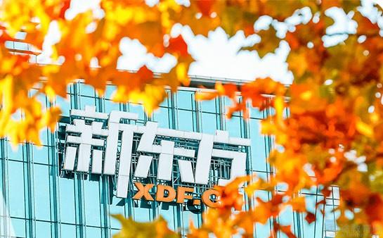 南京新东方学校