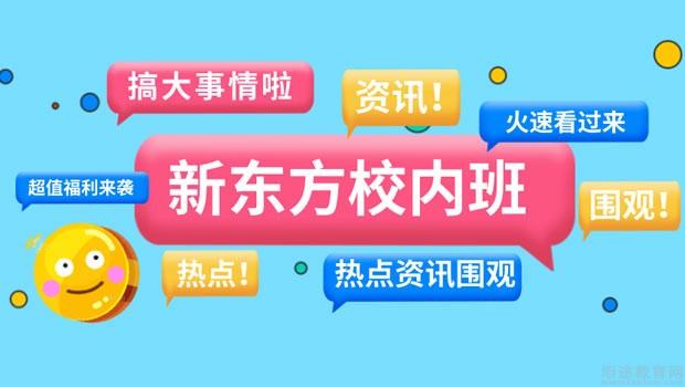 南京新东方学校怎么样