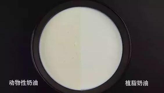 植物奶油与动物奶油