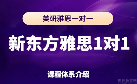 青岛新东方雅思一对一