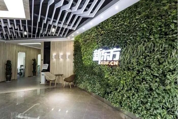 青岛新东方英语雅思培训