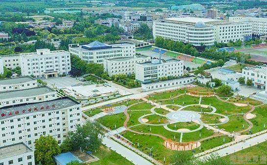青岛新东方