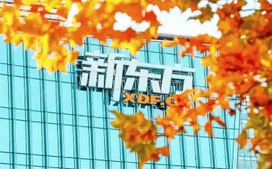 青岛新东方国际教育培训中心