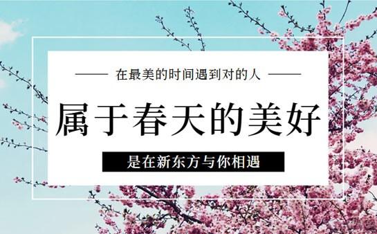 新东方雅思