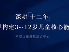 感觉统合中前庭平衡能力的重要性!