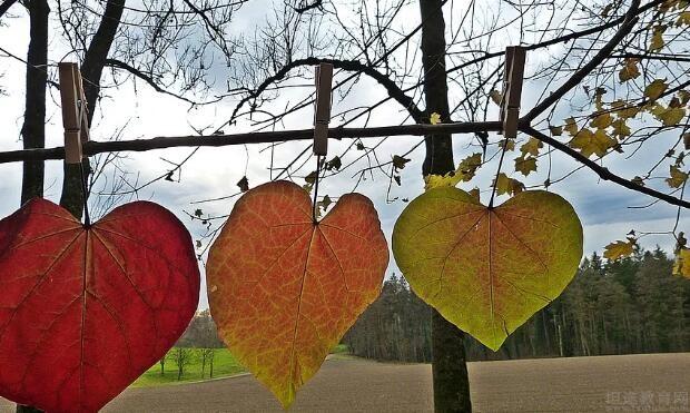 青岛新东方英语
