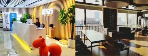 青岛新东方