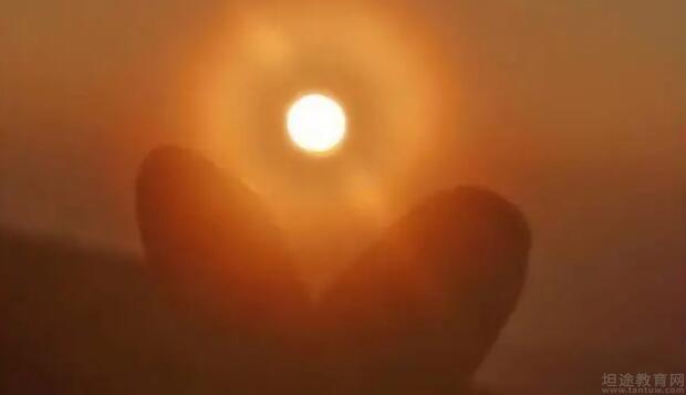 青岛新东方学校